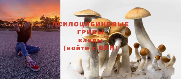 PSILOCYBIN Алзамай