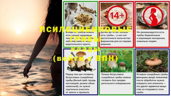 PSILOCYBIN Алзамай