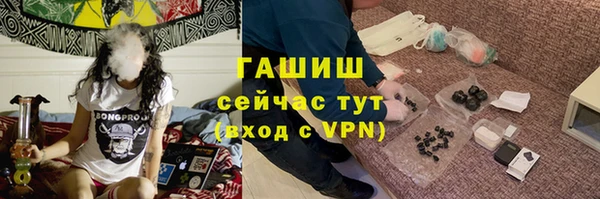 PSILOCYBIN Алзамай