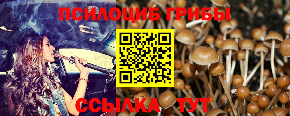 Псилоцибиновые грибы ЛСД Лениногорск